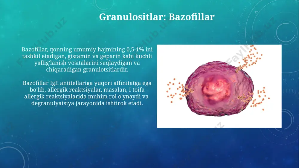 leykotsitlar fiziologiyasi - Page 5