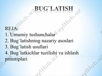 bug`latish — PPT