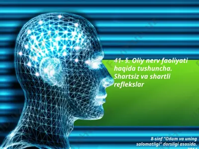 oliy nerv faoliyati haqida tushuncha. shartsiz va shartli reflekslar. 8 - sinf — PPTX