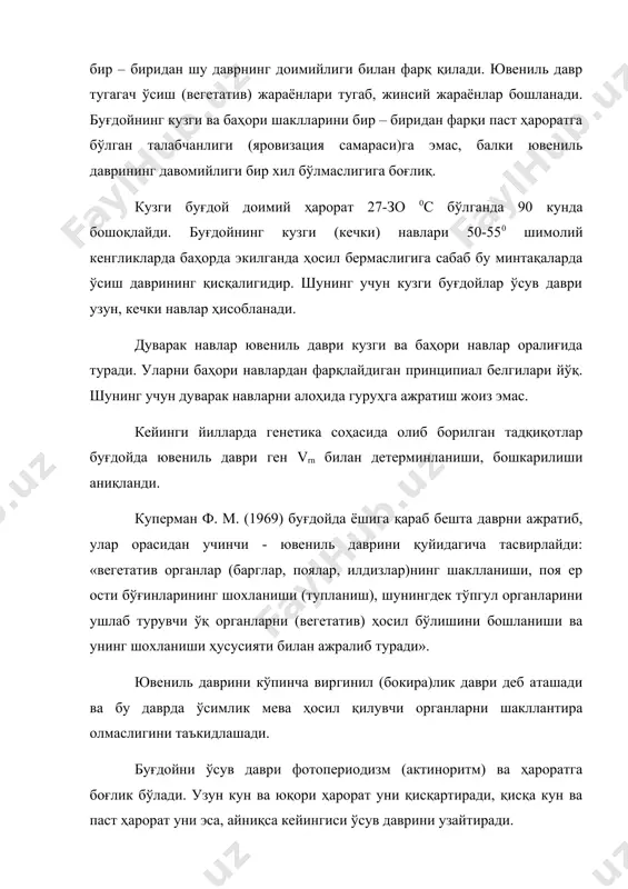 марказий осиё, кавказ орти минтақаларида ўсимликни ўсишдан тўхтаб тиним даврига ўтиши дуварак навларда қисқа кунда, кузги навларда қисқа ва узун кунда ўтади. баҳори навлар қисқа кунда ўсишдан тўхтамайди ёки кучсиз тормозланади. (а. к. федоров, 1989). ювениль даврини, яровизацияни ўтаган ўсимликларнинг ҳамма типи (кузги, баҳори дуварак) ёруғликка реакциясини йўқотади ва қисқа кунда ўсишдан тўхтамайди. дуварак навлар репродуктив органларини ҳосил бўлишини тормозланиши қисқа кундаги фотопериодизмда, баҳори навларга нисбатан кучлироқ бўлади. ғалла экинларини, кузги, баҳори, дуварак шаклларга бўлиш шартли равишда қабул қилинган. аммо ишлаб чиқаришда экилаётган навлар бундай шаклларга бўлиш куз, баҳор даврида ҳосилни йиғиштиришдаги ишларни тиғислигини, таранглигини камайтиради. экиш муддатларини навнинг биологик ҳусусиятларини ҳисобга олган ҳолда белгилашга имкон беради. ўзбекистонда кузги, баҳори, дуварак буғдой навлари кузда экилади. минтақада қиш юмшоқ бўлганлиги учун дуварак ва баҳори навлар кузда экилганда яхши қишлаб чиқади ва юқори ҳосил беради. шунинг учун биологик шакли кузги, баҳори, дуварак бўлишига қарамасдан улар кузда экилса, кузда экилган ғалла экинлари дейилади. …
