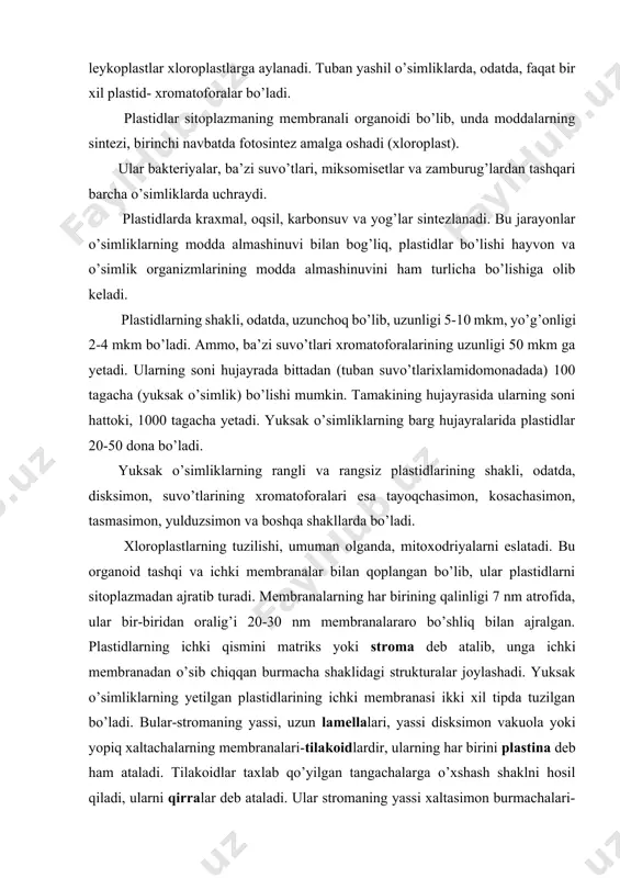 hqi membranalari bir-biriga juda yaqin joylashganligi uchun birikkan zich qavatni hosil qiladi. ammo, tilakoid xaltachalar doimo berk bo’ladi va hech qachon stroma lamellalari bo’shlig’i bilan tutashmaydi(ilova,18). xloroplastlar tilakoidlarining ichki membranalarini elektron mikroskopik tekshirishlar ularni subbirliklardan tuzilganligini ko’rsatdi. ularning qalinligi 10 nm, yuzasi 18,5 – 15,5 nmga teng. bu subbirliklar kvantosomalar deb ataluvchi fotosintetik birlikka to’g’ri keladi. kvantosomalar xlorofill, karotinoidlar, xinonlar va har xil lipidlarni ushlaydi. har bir kvantosoma 4 ta subbirlikka bo’linadi. tilakoidlarning membranalarida mitoxondriyalarning qo’ziqorinsimon tanachalariga o’xshash sferik zarrachalar joylashadi, ular tarkibida atf sintetaza ushlovchi fermentativ kompleks hisoblanadi. xloroplastlarning matriksida 1-2 % karotinoidlar va fermentlar, oz miqdorda rnk va dnk, ribosomalar va yog’ tomchilari bo’ladi. xloroplastning 75 % i suv, 25% i quruq moddadan iborat. quruq moddaning 30-45% ini oqsil, 10% ini magniy, temir, rux, mis birikmalari, 10-15% ini zaxira moddalar va 20-40% ini lipidlar tashkil qiladi. xloroplastlarning yashil pigmenti tilakoidlarning ichida joylashadi, shuning uchun stroma rangsiz ko’rinadi. xlorofill …
