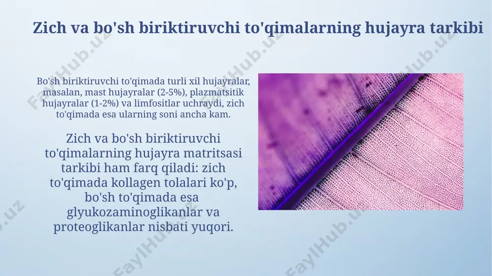 qon va siyrak tolali biriktiruvchi toʻqimalarning oʻzaro munosabati - Page 5