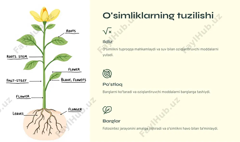 o'simliklar: tabiatning ajoyib mo'jizasi - Page 3