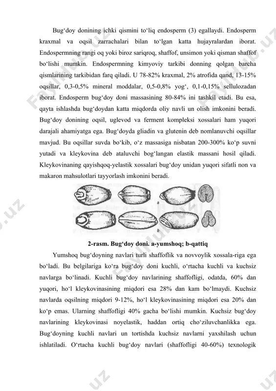 va javdar (secale) donlarining lotincha nomlaridan olingan. tritikaleni yaratishdan maqsad, donda avlodlarining eng yaxshi xossalari: bug‘doydan yuqori hosildorlik va yuqori oqsil miqdorini, javdardan esa tuproq, iqlim va ob-havo sharoitlariga talabchanligining kamligi, kasalliklarga chidamliligini birlashtirishdan iborat. o‘zbekistonda, respublika o‘simlikshunoslik ilmiy tadqiqot institu-tida tritikaleni mad un tayyorlash texnologiyasi un-boshoqli, grechixa va dukkakli donlarni kukunsimon holatga kelguncha maydalash yo‘li bilan olingan mahsulot hisoblanadi. hozirgi kuda un ishlab chiqarish fan va texnikaning eng so‘nggi yutuqlariga asoslanadi. un tiplarga, turlarga va navlarga bo‘linadi. un turi u qaysi dondan olinganligi bilan aniqlanadi. shu asosda bug‘doy, javdar, makkajug‘ori, arpa, soya, grechixa, suli, guruch unlari ishlab chiqariladi. har bir un turi qaysi dondan olinganligiga qarab ma’lum bir xususiyatlarga ega bo‘ladi. shuningdek bug‘doy va javdar donlarining aralashmasidan ham unlar tayyorlanadi. un turlari texnologik ko‘rsatkichlari va qaysi sohada ishlatilishiga qarab tiplarga bo‘linadi. masalan, bug‘doy uni uch tipda ishlab chiqariladi: nonbop, makaron mahsulotlari ishlab chiqarish uchun, qandolatchilikda ishlati-ladigan unlar. bir turga …