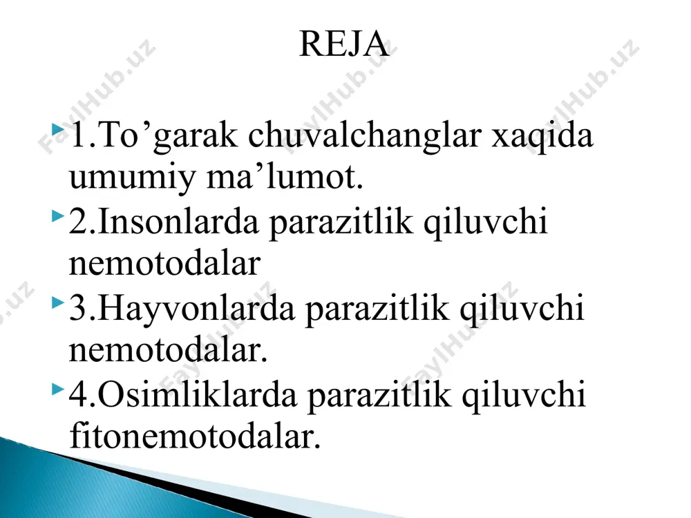 asabiylashadi, injiq bo‘ladi, ishtahasi yo‘qoladi, ko‘ngli ayniydi, qorni og‘riydi va boshi aylanadi. bola qashingan paytda ostritsa tuxumlari ichki kiyimlarga, barmoqlariga, timoqlari orasiga o‘mashib qoladi va qo‘lini yuvmasdan ovqatlansa yoki barmoqlarini og‘ziga solsa, ostritsa tuxumi bolaning ichiga tushadi. tuxumdan lichinka chiqib, o‘sib rivojlanadi, 2—4 haftadan keyin voyaga yetadi. shunday yo‘sinda ostritsa bolaning ichida bir necha yil davomida saqlanishi mumkin. rishta ipsimon ko‘rinishdagi nematoda bo’lib, 0‘rta osiyo respublikalarida rishta (ip) deb ataladi. mutafakkir olim abu ali ibn sino rishtani irk-almedini deb atagan va bu parazit keltirib chiqaradigan kasallikni birinchi marta o‘rgangan allomadir. urg‘ochisini uzunligi 32-150 sm gacha boradi, erkagi esa 12-30 mm atrofida bo‘ladi. asosan qo‘y va echkilarning yirik va mayda bronxlarida, alveolalarida parazitlik qiladigan nematodalardir. protostrongilidlar erkagining uzunligi 10-30 mm, urg‘ochilariniki esa 28-60 mm atrofida boladi. protostrongilidlarning hamma qo‘zg‘atuvchilari oraliq xo‘jayinlar orqali rivojlanadi. ularning oraliq xo‘jayinlari bo’lib quruqlikda yashovchi 28 turga kiruvchi molluskalar hisoblanadi. asosan cho‘chqalaming o‘pkasida parazitlik qiladi. cho‘chqa va …