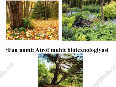 oqsil va aminokislota molekulalarining tarkibini o`rganish — PPTX