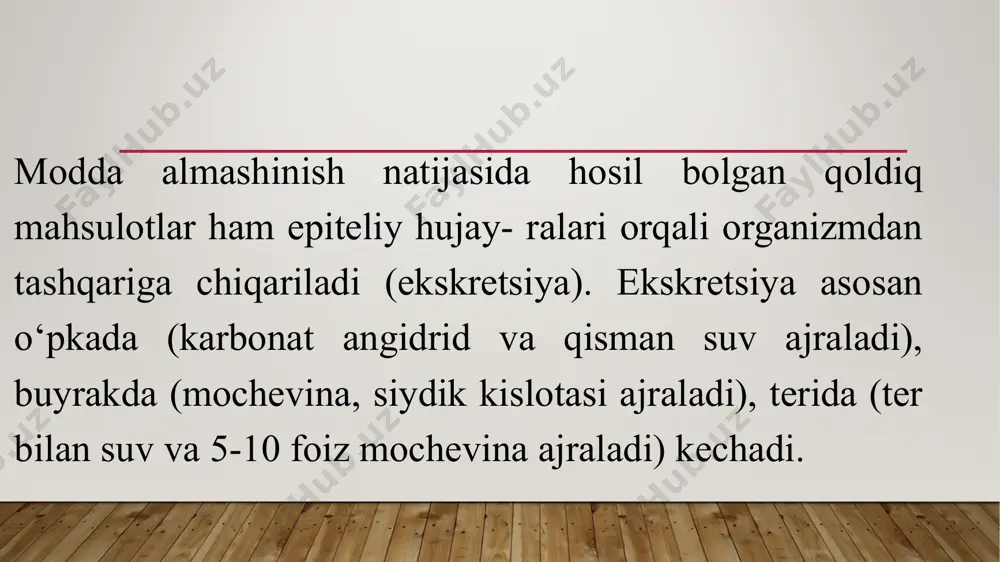 qismida va yadro atrofida joylashadi. sekretsiya jarayonida qatnashadigan hujayralarda golji kompleksi kuchli rivojlangan bomib, hujayra yadrosining ustida yotadi. bir qavatli bir qatorli epiteliy. bu epiteliy tuzilishini ta’riflanganda ko‘pincha «bir qatorli» termini tushirib qoldiriladi va faqat «bir qavatli epiteliy» deb yuritiladi. hujayralaming shakliga qarab bir qavatliyassi, kubsimon, silindrsimon yoki prizmatik epiteliylar tafovut qilinadi. mezoteliy tanaliing ikkilamchi bo4shlig‘i yoki selom bo‘shlig‘ini hosil qiluvchi mezodermaning hosilasidir. mezoteliy seroz pardalar — plevra va qorin pardasining pariyetal va visseral varaqlarini, yurak oldi xaltachasi devorlarini qoplab turadi. mezoteliy hujayralari (masalan, charvining yaxlit preparati) ust tomondan qaraganda notekis chegarali va turli shaklda ekanligi yaqqol ko‘rinadi. bu hujayralaming ikki yoki uchta yassilashgan yadrolari bo'lib, ular joylashganjoybiroz bo‘rtib turadi. elektron mikroskopik tekshirishlar natijasida yassi epiteliy hujayralarining qorin bo‘shiig‘iga qaragan erkin yuzasida mikrovorsinkalar borligi aniqlandi. mikrovorsinkalar mezoteliy yuzasini ancha kengay- tiradi. hujayralar bir-biri bilan desmosomalar yordamida bogmanadi. mezoteliy yuzasi silliq bomganligi sababli ichak peristaltikasida, yurakning qisqarishi, o ‘pkaning nafas ekskursiyasida, …
