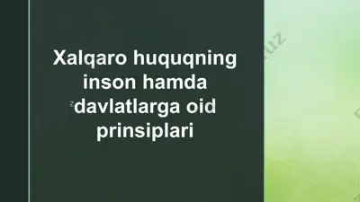 xalqaro huquqning inson hamda davlatlarga oid prinsiplari — PPTX