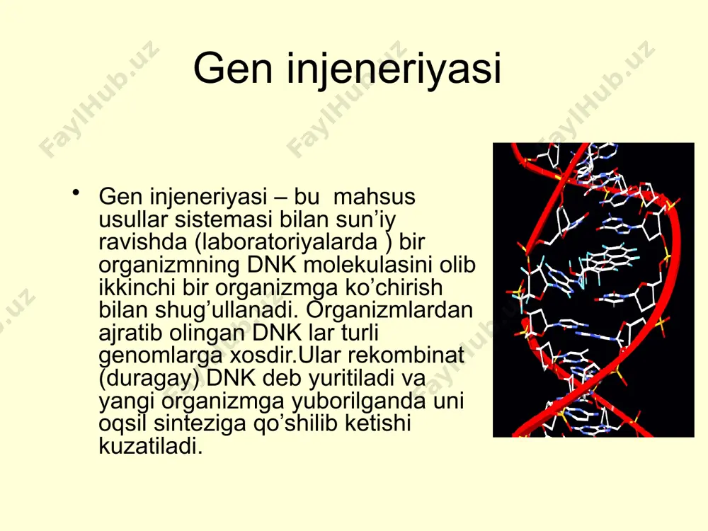 rakli organizm to’qimasiga qo’yish. genetik injeneriya bosqichlari tabiiy manbalardan olish kimyoviy sintez fermentativ sintez 2. genni vektor molekulaga ulash, rekombinativ dnk yaratish restriktaza, ligaza fermentlari yordamida plazmidlar faglar, viruslar transpozonlar 3. rekombinativ dnk ni vektor yordamida resipient hujayrasiga kiritish. transgenoz 4. transgen organizmlarni yaratish 1. irsiy axborotni olish gen injeneriyasida birinchi bosqichda genni ajratib olish gen injeneriyasida birinchi bosqichda genni ajratib olish lozim. ximiyaviy sintezlash asosida olinadi. x genni ti plazmida yordamida vektor usulida ko’chirish: begona genni to’g’ridan-to’g’ri ko’chirish. bunda quyidagi usullardan foydalaniladi. a) mikroineksiya b) elektroporaksiya v) liposomaga yig’ish g) transformasiya d) protoplastlarni qo’shish. yakka dnk ni o’zini ko’chirishda o’simlik to’qimasiga membranasi olingan protoplastga ko’chiriladi. a) mikroinyeksiya – hayvonlar to’qimasiga dnk ko’chirish uchun ishlab chiqilgan usul. bunda mikroigna orqali dnk yadro protoplastga maxsus qurilma orqali yuboriladi. ukrainaning kiyev shahridagi yu.yu.gleb laboratoriyasida bajarilmoqda. b) elektroporaksiya – bu yuqori elektr impuls yordamida dnk ni to’qima membranasidan o’tkaziladi. bunda to’qima membranasi shok …