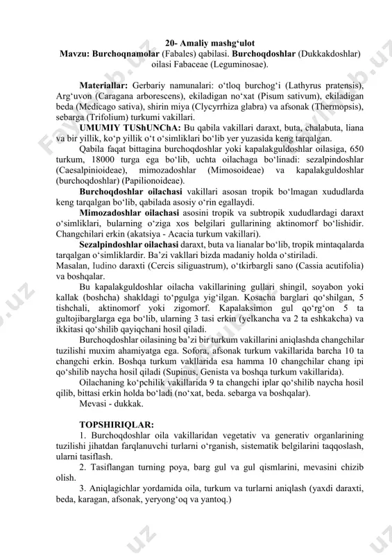 y holda o‘stiriladi. masalan, iudino daraxti (cercis siliguastrum), o‘tkirbargli sano (cassia acutifolia) va boshqalar. bu kapalakguldoshlar oilacha vakillarining gullari shingil, soyabon yoki kallak (boshcha) shakldagi to‘pgulga yig‘ilgan. kosacha barglari qo‘shilgan, 5 tishchali, aktinomorf yoki zigomorf. kapalaksimon gul qo‘rg‘on 5 ta gultojibarglarga ega bo‘lib, ularning 3 tasi erkin (yelkancha va 2 ta eshkakcha) va ikkitasi qo‘shilib qayiqchani hosil qiladi. burchoqdoshlar oilasining ba’zi bir turkum vakillarini aniqlashda changchilar tuzilishi muxim ahamiyatga ega. sofora, afsonak turkum vakillarida barcha 10 ta changchi erkin. boshqa turkum vakllarida esa hamma 10 changchilar chang ipi qo‘shilib naycha hosil qiladi (supinus, genista va boshqa turkum vakillarida). oilachaning ko‘pchilik vakillarida 9 ta changchi iplar qo‘shilib naycha hosil qilib, bittasi erkin holda bo‘ladi (no‘xat, beda. sebarga va boshqalar). mevasi - dukkak. topshiriqlar: 1. burchoqdoshlar oila vakillaridan vegetativ va generativ organlarining tuzilishi jihatdan farqlanuvchi turlarni o‘rganish, sistematik belgilarini taqqoslash, ularni tasiflash. 2. tasiflangan turning poya, barg gul va gul qismlarini, mevasini …