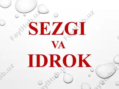 sezgi va idrok — PPTX