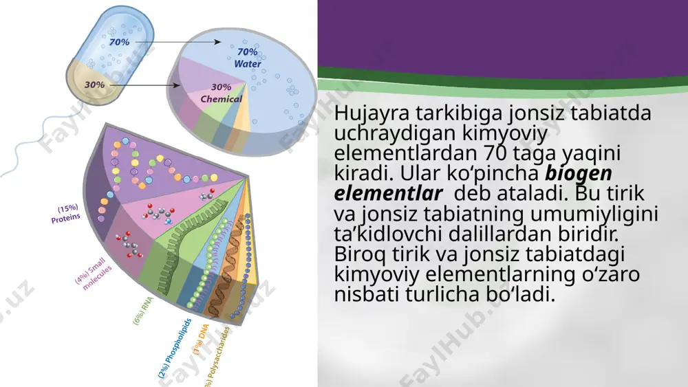 iqariladigan tiroksin gor moni tarkibiga yod elementi kiradi. u ning yetishmasligi tiroksin hosil bo‘lishini kamaytiradi, natijada bez gipofunksiyaga uchraydi va buqoq kasall igi rivojlanadi. ruh bir qator fermentlarning tarkibiga kiradi. jinsiy gormonlarning faolligini oshiradi. kobalt b12 vitamini ning zaruriy tarkibiy qismidir. bu vitamin qon hosil bo‘lishida muhim ahamiyat kasb etadi. savol va topshiriqlar biogen elementlar deb nimaga aytiladi? makroelementlarga nimalar kiradi? mikroelementlar deb nimalarga ataladi? yod elementi qanday gormon tarkibida uchraydi? image2.jpeg image3.jpeg image4.jpeg image5.png image6.jpeg image7.jpeg image8.jpeg image9.gif image10.jpeg image11.jpeg image12.jpeg image13.jpeg image1.jpeg