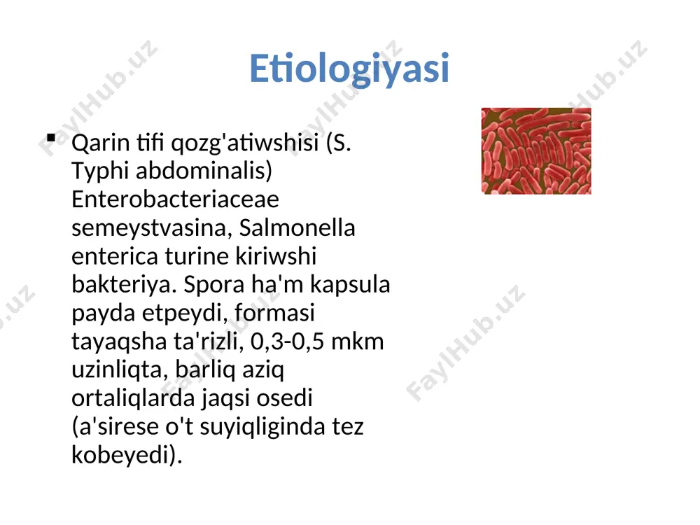 tiliwi- barliq shig'ariw organlari ta'repinen ( silekey bezleri, ter bezleri, su't bezleri, bawir, bu'yrekler arqali) sirtqa shig'ariliw ku'sheyedi. 7. allergik reaktsiyalar da'wri- usi bakteriya organizmge qaytadan tu'skende 2-ma'rte giperergik isiniw protsessin shaqiradi. 8. immunitet payda boliw, sawaliw da'wri- bul da'wirde tifke qarsi immunitet formalanip, organizm tiklenip baslaydi. patologanatomiyasi 5 da'wirge bo'linedi da'wir. 1- ha'ptesinde gu'zetilip, solitar follikulalar, peyer bilyashkalari bo'rtip isedi, kesip ko'rilse qon'ir-qizg'ish ren'de boladi. bul narestenin' miyine uqsag'ani ushin " miy ta'rizli isiniw" dep ataladi. da'wir. 2-ha'ptesine tuwri kelip, isken follikulalar ha'm peyer bilyashkalarinda nekrozlaniwi, jasil-sarg'ish , gu'ngirt ren'de boladi. da'wir. 3- ha'ptesine tuwra keledi. jaralaniw da'wri dep atalip, nekrozlang'an toqimalalt ko'ship tu'sip, orninda jaralar payda boladi. da'wir. 3-ha'ptenin' aqiri 4- ha'ptenin' baslarinda. ishektegi jaralar nabit bolg'an toqimalardan tazalanadi. da'wir. 5-6- ha'ptelerine tuwra kelip, jaralar pitip orninda shandiq qalmastan, ku'lren' daqlar qaladi. jin’ishke ishektegi patomorfologiyaliq o’zgerisler 1–miyge uqsas isiniw basqishi (peyer pileksheleri ha’m sollitar follikulalar) (1-ha’pte); 2–peyer pilekshelerinin’ …