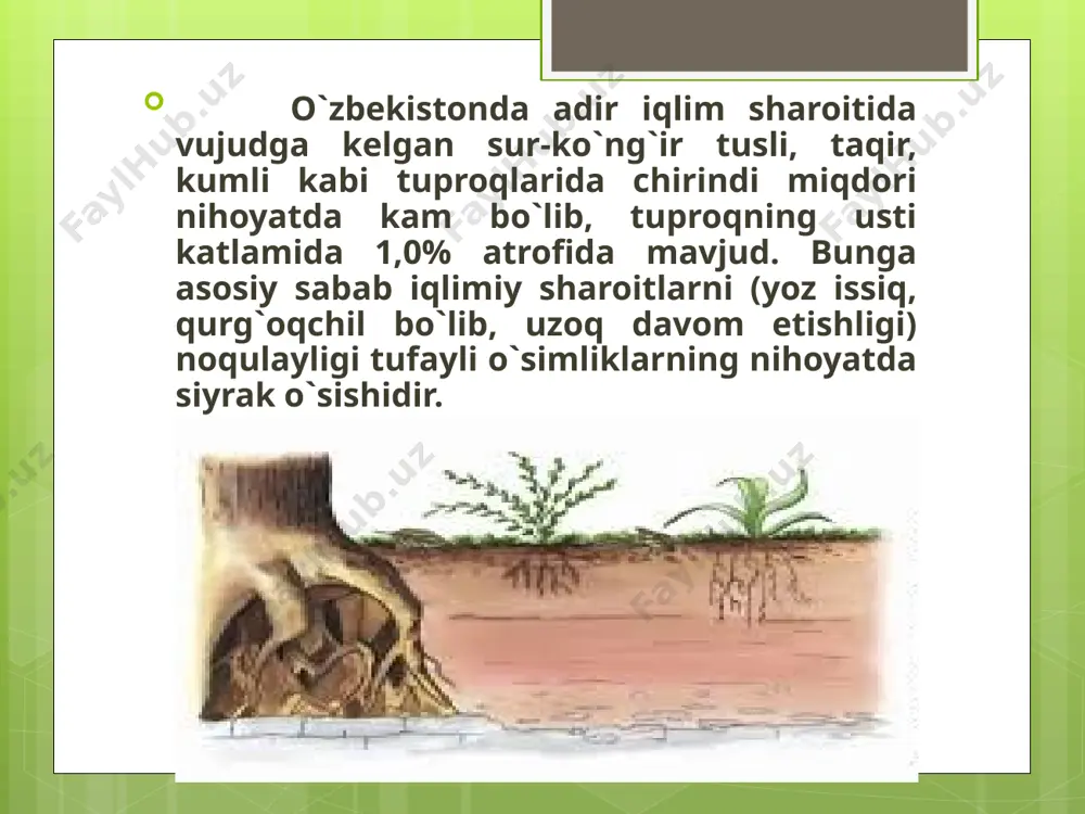 o’zbekiston tuproqlariga umumgeografik tavsif - Page 4