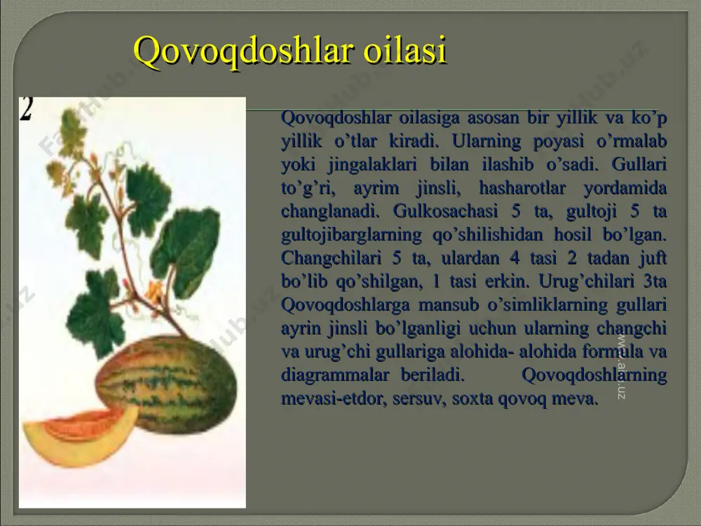 qovoqdoshlar oilasi - Page 5