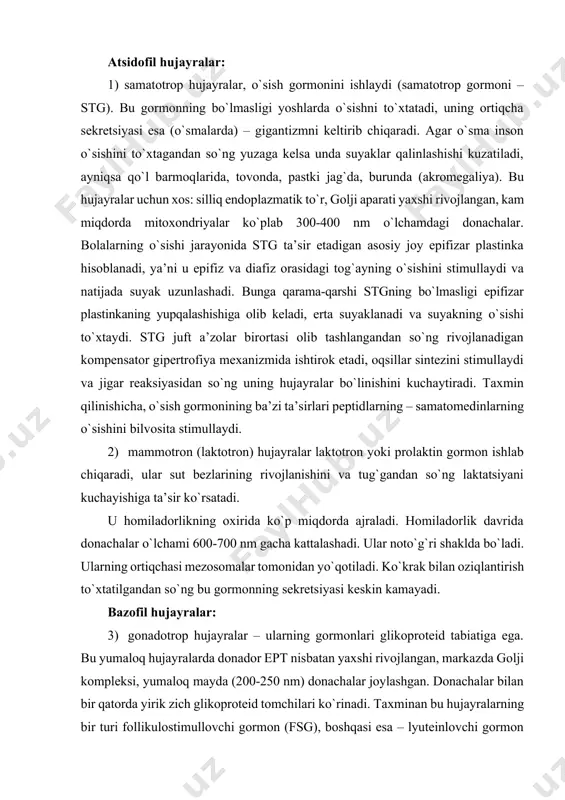 ataladi. xromofob hujayralar funksional faol bo`lmagan yoki kam differensiallashgan hujayralar deb hisoblanadi, sekret to`plana boshlagandan so`ng ular xromofil hujayralarga alanadi. xromofil hujayralar o`z navbatida atsidofil va bazofillarga bo`linadi. atsidofil hujayralar: 1) samatotrop hujayralar, o`sish gormonini ishlaydi (samatotrop gormoni – stg). bu gormonning bo`lmasligi yoshlarda o`sishni to`xtatadi, uning ortiqcha sekretsiyasi esa (o`smalarda) – gigantizmni keltirib chiqaradi. agar o`sma inson o`sishini to`xtagandan so`ng yuzaga kelsa unda suyaklar qalinlashishi kuzatiladi, ayniqsa qo`l barmoqlarida, tovonda, pastki jag`da, burunda (akromegaliya). bu hujayralar uchun xos: silliq endoplazmatik to`r, golji aparati yaxshi rivojlangan, kam miqdorda mitoxondriyalar ko`plab 300-400 nm o`lchamdagi donachalar. bolalarning o`sishi jarayonida stg ta’sir etadigan asosiy joy epifizar plastinka hisoblanadi, ya’ni u epifiz va diafiz orasidagi tog`ayning o`sishini stimullaydi va natijada suyak uzunlashadi. bunga qarama-qarshi stgning bo`lmasligi epifizar plastinkaning yupqalashishiga olib keladi, erta suyaklanadi va suyakning o`sishi to`xtaydi. stg juft a’zolar birortasi olib tashlangandan so`ng rivojlanadigan kompensator gipertrofiya mexanizmida ishtirok etadi, oqsillar sintezini stimullaydi va …