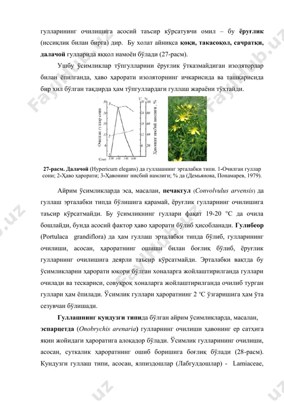 ham to'pgullardagi gullash jarayoni to'xtaydi. 27-rasm. dalachoy (hypericum elegans) da gullashning ertalabki tipi. 1-ochilgan gullar soni; 2-havo harorati; 3-havoning nisbiy namligi; % da (demyanova, ponamarev, 1979). ayrim o'simliklarda esa, masalan, pechakgul (convolvulus arvensis) da gullash ertalabki tipda bo'lishiga qaramay, yorug'lik gullarning ochilishiga ta'sir ko'rsatmaydi. bu o'simlikning gullari faqat 19-20 °s da ochila boshlaydi, bunda asosiy faktor havo harorati bo'lib hisoblanadi. gulibeor (portulaca grandiflora) da ham gullash ertalabki tipda bo'lib, gullarining ochilishi, asosan, haroratning oshishi bilan bog'liq bo'lib, yorug'lik gullarning ochilishiga deyarli ta'sir ko'rsatmaydi. ertalabki vaqtda bu o'simliklarni harorati yuqori bo'lgan xonalarga joylashtirilganda gullari ochiladi va teskarisi, sovuqroq xonalarga joylashtirilganda ochilib turgan gullari ham yopiladi. o'simlik gullari haroratning 2 os o'zgarishiga ham o'ta sezuvchan bo'lishadi. gullashning kunduzgi tipida bo'lgan ayrim o'simliklarda, masalan, espartsetda (onobrychis arenaria) gullarning ochilishi havoning er sathiga yaqin joyidagi haroratiga aloqador bo'ladi. o'simlik gullarining ochilishi, asosan, sutkalik haroratning oshib borishiga bog'liq bo'ladi (28-rasm). kunduzgi gullash tipi, asosan, yalpizdoshlar …