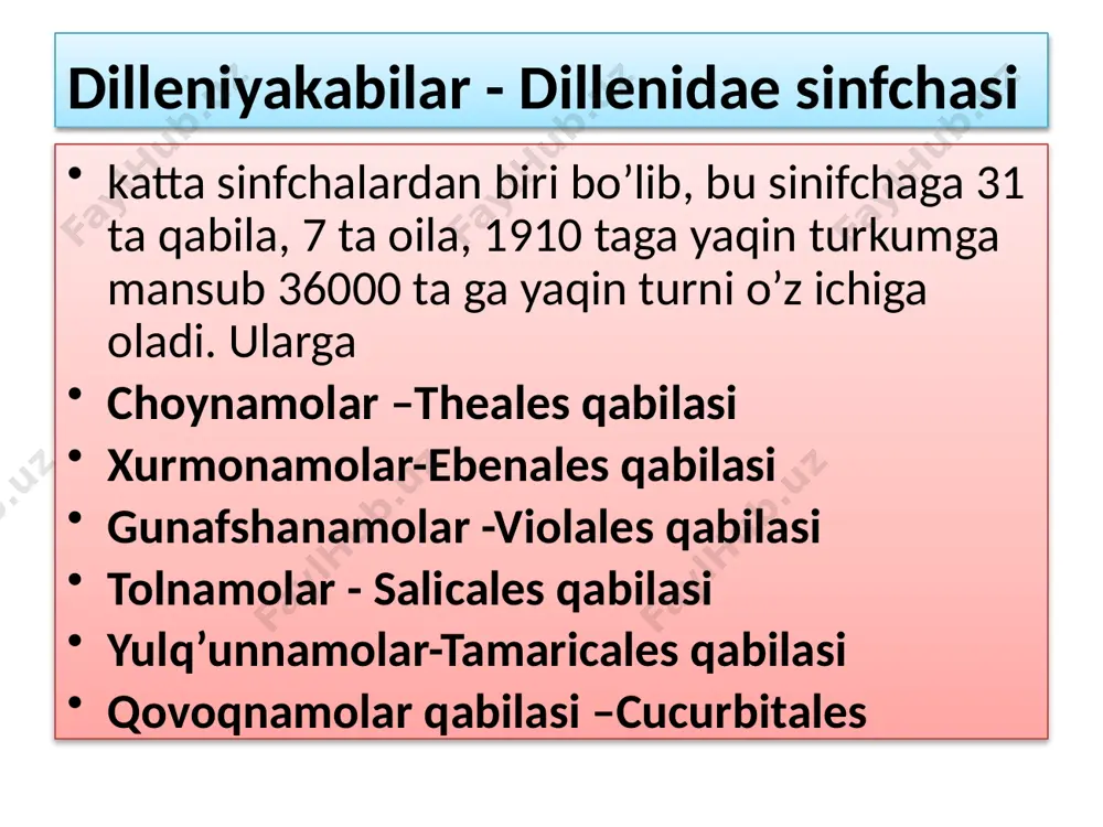 linadi. gunafshaning ayrim turlari (viola hortenses, viola grangiflorae) navlari manzarali o’simlik sifatida ekiladi. gul formulasi: ♀♂ са5со5 а5g(3) tolnamolar - salicales qabilasi. bu qabilaga faqat bitta oila kiradi. toldoshlar-salicaceae oilasi. bu oilaga 3 turkumga mansub 400-420 tur kiradi. ular daryo bo’ylarida, to’qaylarda, ariq qirg’oqlarida, suv serob joylarda o’sadi. bu oilaga mansub o’simliklar qishda bargini to’kib turadi. oilaning eng keng tarqalgan turkumlari tol, terak, turang’il hisoblanadi. tol -salix. 350-370 turni - terak (populus) 50-60 turni o’z ichiga oladi. ular daraxt va butalardan tashkil topgan. bular orasida majnuntol (salix babulonica), qoratol (s.excelsa), turang’a (populus pruinosa), baxofen teragi (p. bachofenii), oq terak (p. alba), qora terak (p.nigra). barglari oddiy, butun, gullari bir jinsli, ikki uyli. shuningdek, gulqo’rg’oni yo’q. tollarda changchilar 2 ta, teraklarda 6-40 ta, urug’chisi 2 ta mevacha bargning qo’shilib o’sishidan hosil bo’lgan. mevasi senokarp oq tol - salix alba daraxt bo’yi - 10 - 15 m. barglari yirik, ingichka lansetsimon, o’tkir …