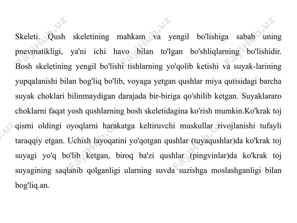 ga o'xshaydi. qushlarning bosh skeleti ham boshqa umurtqali hayvonlarniki kabi miya qutisi va tarkibiga ko'z kosasi atrofidagi suyaklar kiradigan neurokraniumga hamda jag'lar, tanglay suyaklari va til osti apparati kiradigan yuz skeleti - splanxnok-raniumga bo'linadi (132-rasm). qayiq sudralib yuruvchilarning bosh suyagiga o'xshaydi, lekin ingichka, engilroq suyaklardan iborat. voyaga etgan qushlarda tikuvlar ko'rinmas. ikkilamchi suyak tanglayi saqlanib qolgan. jag'lar va suyaklarning bir qismi tumshug'ining suyak asosini - pastki va pastki jag'ni tashkil qiladi. bosh qutisining hamma suyaklari yupqa, yengil va o'zaro mustah-kam tutashgan bo'ladi. ensa bo'limning tarkibiga katta ensa teshigi atrofida turadigan (voyaga yetgan qushlarda qo'shilib ketgan) to'rtta tipik ensa suyaklari: ensa teshigining ostidagi toq asosiy ensa suyagi, yon tomonlardagi - juft yon ensa suyagi va toq ustki ensa suyagi kiradi. sudralib yuruvchilardagidek ensa teshigining ostidagi toq ensa boʻrtmasi yon va asosiy ensa suyaklarining birikishidan hosil bo'ladi. miya qutisi qopqog'ining tarkibiga - juft tepa, manglay, burun suyagi va tangacha suyaklar kiradi. o'q …