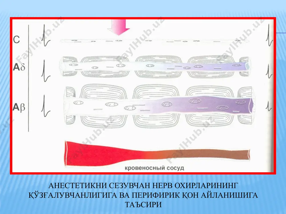 амфора, фенол, ментол, тимол. формалин, крезол крезол,камфора камфора, тимол пластик қотувчи ашёлар эндогерметик ёки силлерлар деб аталади. улар бир неча гуруҳга бўлинади: цинкфосфат цементлар. оксид цинки ва эвгенол асосидаги ашёлар(эвгенол, эвгецент-в, эвгецент -п,цинк-эвгенол малҳами,endobtur,endometpasone(septodont). эпоксид сақич асосидаги ашёлар (ан-26,ан-plus). гидроксид кальций сақловчи полимер ашёлар (biocalex (фирма spad). стеклоиономер цементлар. резорцин-формалин сақичи асосидаги ашёлар фосфат кальций асосидаги ашёлар. image3.png oleobject1.bin image4.png oleobject2.bin image5.png oleobject3.bin image6.png image7.png oleobject4.bin oleobject5.bin image8.jpeg image9.png oleobject6.bin image10.png oleobject7.bin image11.png oleobject8.bin image12.png image13.png image14.png image15.png image16.jpeg image17.jpeg image18.jpeg image19.jpeg image20.jpeg image21.png image22.jpeg image23.jpeg /docprops/thumbnail.jpeg