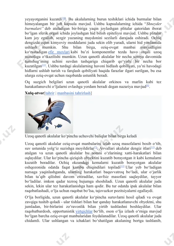 . ov paytida ular tajovuzkor boʻladi. jaws muallifi piter benchli uzun qanotli akula uchuvchi kitlar orasida suzib, ularning axlatini yeyayotganini kuzatdi[10]. bu akulalarning burun teshiklari ichida burmalar bilan himoyalangan bir juft kapsula mavjud. ushbu kapsulalarning ichida “shneyder burmalari” deb ataladigan bir-biriga yaqin joylashgan plitalar qatoridan iborat boʻlgan sferik organ ichida joylashgan hid bilish epiteliysi mavjud. ushbu plitalar kam joy egallab, sezgir yuzaning maydonini sezilarli darajada oshiradi. ochiq dengizda oqim kimyoviy moddalarni juda sekin olib yuradi, ularni hid yordamida ushlash mumkin. shu bilan birga, oziq-ovqat manbai mavjudligini koʻrsatadigan efir moylari kabi baʼzi komponentlar tezda havo orqali uzoq masofaga oʻtkazilishi mumkin. uzun qanotli akulalar bir necha soniya davomida tumshugʻining uchini suvdan tashqariga chiqarib qoʻyishi bir necha bor kuzatilgan[11]. ushbu turdagi akulalarning havoni hidlash qobiliyati, yaʼni havodagi hidlarni ushlab turish va farqlash qobiliyati haqida farazlar ilgari surilgan, bu esa ularga oziq-ovqat uchun raqobatda ustunlik beradi. oq suzgich belgilari uzun qanotli akulalar orkinos va …