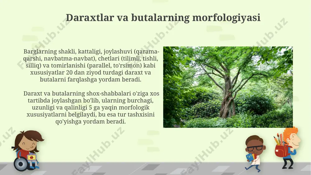 immunitet tizimini zaiflashtirib, ularni boshqa infektsiyalarga moyil qiladi, o'limga olib kelishi mumkin. daraxtlar va butalarning anatomiyasi barglarning anatomiyasi – mezofil, epidermis va stomalar – fotosintez jarayonida muhim rol o'ynaydi, har bir bargning yuzasida 100 dan ortiq stoma bo'lishi mumkin. yog'ochning yillik halqalari daraxtning yoshi va o'sish sharoitlari haqida ma'lumot beradi, ularning kengligi 2-5 mm gacha o'zgarib turadi. daraxtlar va butalarning amaliy ahamiyati meva-rezavor ekinlari sifatida 300 dan ortiq turdagi daraxt va butalardan oziq-ovqat mahsulotlari, xususan, meva, yong'oq va rezavorlar olish mumkin, bu oziq-ovqat xavfsizligini ta'minlaydi. daraxtlar va butalar havo sifatini yaxshilashda muhim rol o'ynaydi, chunki ular yiliga o'rtacha 1 gektar maydonda 2,5 tonnagacha karbonat angidridni yutadi va kislorod ajratadi, bu atmosfera ifloslanishini kamaytiradi. daraxtlar va butalarni o'rganish usullari daraxtlarning yoshini aniqlash uchun dendroxronologiya usuli qo'llaniladi, bu yillik halqalar sonini hisoblash orqali taxminan 50 yoshgacha bo'lgan daraxtlarning yoshini aniqlashga imkon beradi. genetik tahlil usullari, masalan, dnk barmoq izi texnologiyasi, turli daraxt …