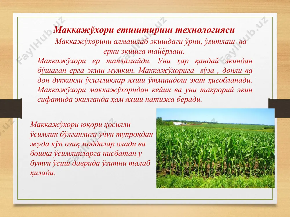 маккажўхорини етиштириш технологияси - Page 5
