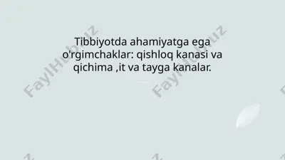 tibbiyotda o'rgimchaklar — PPTX
