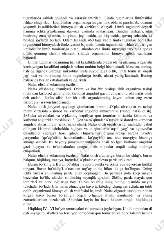 lanadi. chunonchi, mayda qon tomirlari, ya`ni kapillyarlardan hujayra-to`qimalarga o`tgan qonning suyuq qismi, ya`ni suv va unda erigan moddalarning bir qismi hujayra-to`qimalardan limfa kapillyarlariga o`tadi. limfa kapillyarlari bir-biriga qo`shilib, mayda, o`rtacha va yirik limfa tomirlarini hosil qiladi. oyoqlar, qorin bo`shlig`i a`zolari, ko`krak qafasining chap tomoni, bo`yin va boshning chap tomoni, hamda chap qo`ldan yig`ilgan limfa tomirlari birlashib, yirik ko`krak limfa tomirini hosil qiladi va u chap o`mrov osti vena tomiriga quyiladi. bosh, bo`yin, ko`krak qafasining o`ng tomonidan va o`ng qo`ldan yig`ilgan limfa tomirlari birlashib, yirik o`ng limfa tomirini hosil qiladi va u o`ng o`mrov osti vena tomiriga quyiladi. chap va o`ng o`mrov osti venalari yuqori kovak venaga quyiladi, u esa yurakning o`ng bo`lmachasiga quyiladi. limfa tomirlari o`z yo`lida tananing turli qismlarida joylashgan limfa tugunlari orqali o`tadi. limfa suyuqligidagi mikroblar va organizmga yot moddalar limfa tugunlarida ushlab qolinadi va zararsizlantiriladi. limfa tugunlarida limfotsitlar ishlab chiqariladi. limfotsitlar organizmga kirgan mikroblarni parchalab, odamni yuqumli …