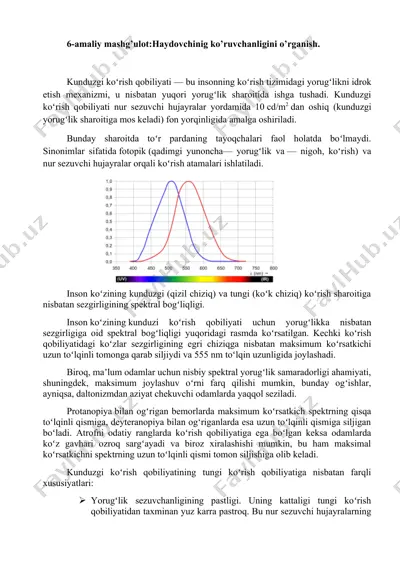 kunduzgi koʻrish qobiliyati — DOCX