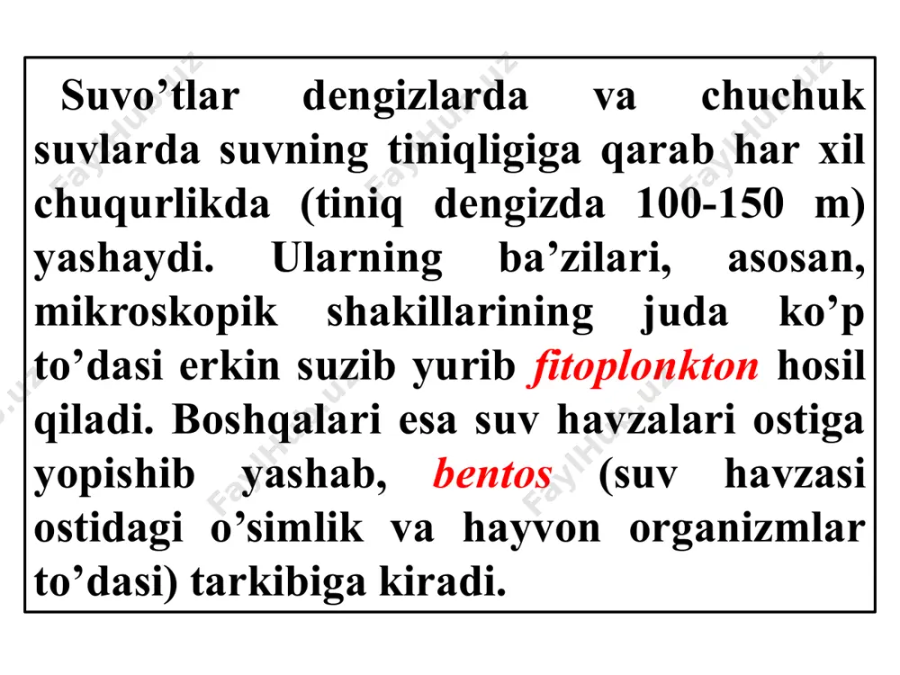 qo’ng’ir suvo’tlar koloniya bo’lib yashaydigan ko’p hujayrali organizmlardir. bu sinf ba’zi vakillarining hujayrasida qismlarga ajralish kuzatiladi. bu hujayralar har xil to’qimalar hosil qiladi. hamda tallomni morfoloigk jihatdan barg va poyasimon organlarga ajratadi. hujayralarning po’sti sellulozadan iborat, ba’zan pektin modda shimilgan bo’lib, shilimshiqlanish xususiyatiga ega. bular sporalar va jinsiiy yo’l bilan ko’payadi. ayrim vakillari is'temol qilinadi, ba’zilaridai kaliyli tuzlar, yo’d, atseton, spirt, sirka kislota va hokazolar olinadi. qizil suvo’tlar - rhodophyta. qizil suvo’tlar ham dengiz va okeanlarda yashaydi. bularning tashqi ko’rinishi va tuzilishi juda xilma - xil. ipsimon, tup yoki plastinkasimon shakldagilari uchraydi, ba’zan ular poya va bargga bo‘linadi. hujayrasining po’sti sellyuloza yoki pektindan iborat. hujayrasi ichida bitta yoki bir nechta yadro va plastinkasimon yoki yulduzchasimon xromotofor bo‘ladi. qizil suvo‘tlar xromotoforida qizil rangli alohida pigment - fikoeritrin bo’lganligi uchun ular shunday nom bilan ataladi. qizil suvo’tlar sporalar va jinsiy yo’l bilan ko’payadi. ularda ham jinssiz va jinsiy nasl gallanadi. 3. suvo’tlari …