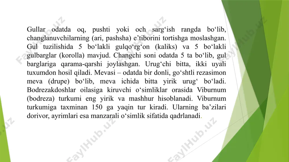 qiyatli o‘sib, ekotizimlarning barqarorligini ta’minlasa, balki farmatsevtika, oziq-ovqat, kosmetika va an’anaviy tibbiyotda ham keng qo‘llaniladi. bodrezakdoshlarning efir moylari va bioaktiv moddalarining sog‘liqni saqlashdagi foydalari, ularning changlatuvchilar uchun nektar manbai bo‘lishi ekologik va iqtisodiy jihatdan katta ahamiyat kasb etadi. shuning uchun, bu oila vakillarini o‘rganish, muhofaza qilish va to‘g‘ri foydalanish nafaqat ilmiy, balki amaliy jihatdan ham muhimdir. adabiyotlar 1.axmedova m. a., sobirov sh. m. – o‘zbekiston florasi (1–7 jildlar), toshkent:fan,2008–2016. 2. karimov m. k. – o‘simlikshunoslik, toshkent: o‘zbekiston, 2015. 3. xolmurodov s. x. – botanika darsligi, toshkent: yangi asr avlodi, 2019. image1.png image2.png image3.png image4.png /docprops/thumbnail.jpeg