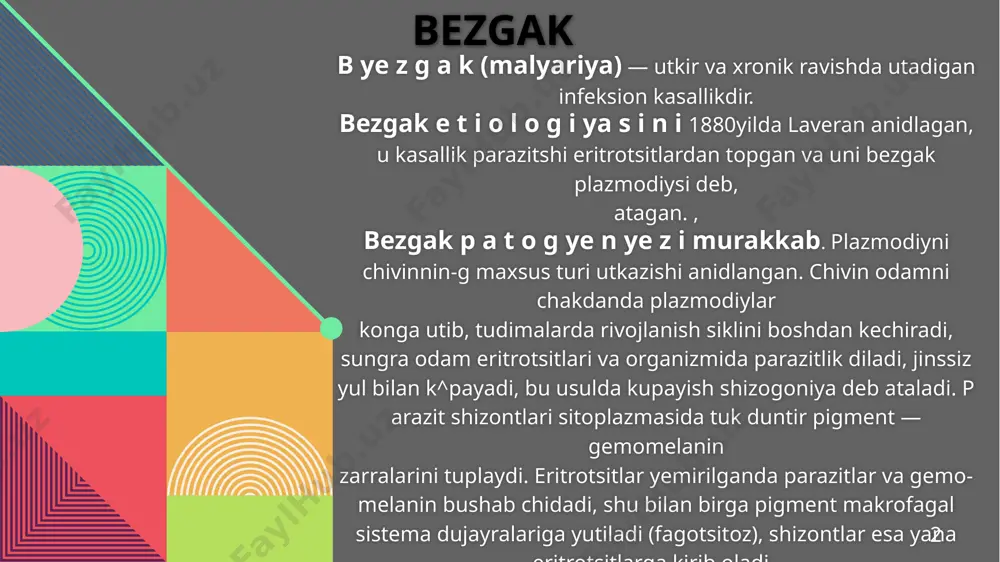 ga tulishgan buladi; xronik bezgakda talok pulpasida skleroz ruy beradi, talok zichlashadi va vazni 3—5 kg ga yetadi ( b ye z g a k s i l ye‘n o m ye g a l i ya - s i) . uch kunlik bezgakda j i g a r kattalashgan, konga tulishgan bul.adi; mikroskopik tekshirishda kupfer — visokovich xujayralarining giperplaziyasi, ularning protoplazmasida. gemomelanin. tuplanganligi kayd kilinadi. jigarning kesilgan. yuzasi koramtir kurinadi. xronik bezgakda stromasi dagallashadi va yetilgan kushuvchi tukima rivojlanadi.. yassi va naysimon s u ya k l a r n i n g ..k u m i g i soramtir. rangli bulib, mikroskopik tekshirishda makrofagal sistema xujayra l a ­ ri ning giperplaziyasi va ularda pigment tuplanganligi kayd kilinadi. kumikning aplaziya uchastkalari uchraydi. boshka organ va tudimalar a-nemik buladi. 20gg 4 4 t r o p i k b ye z g a k uch kunlik bezgakda tasvir etilgan …