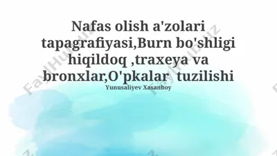 nafas olish organlarining topografiyasi — PPTX