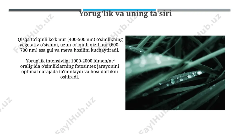 sifati mikroiqlimning harorat va namlik parametrlari hosilning sifat ko'rsatkichlariga, xususan, meva va sabzavotlarning o'sish sur'ati va saqlash muddatiga 15-20% ta'sir ko'rsatishi aniqlangan. optimal mikroiqlim sharoitida yetishtirilgan qishloq xo'jalik mahsulotlari o'rtacha 25-30% yuqori hosil va 10-15% sifatliroq bo'ladi, bu esa iqtisodiy samaradorlikni oshiradi. zararkunandalar va kasalliklarga mikroiqlimning ta'siri haroratning 30°c dan yuqori bo'lishi va past namlik (30% dan past) sharoiti zararkunandalar, masalan, o'simlik bitlari populyatsiyasining keskin o'sishini kuchaytiradi. optimal mikroiqlim parametrlari (20-25°c harorat, 60-70% namlik) o'simliklarning kasallik va zararkunandalardan himoya qilish mexanizmlarini 15-20% ga kuchaytiradi, bu esa kimyoviy himoya vositalariga bo'lgan ehtiyojni kamaytiradi. tuproqning mikroiqlimi tuproqning mikroiqlimi namlik miqdorini (masalan, 10-20% oralig'ida) va haroratni (o'rtacha 25°c atrofida) o'simliklarning o'sishi va rivojlanishi uchun optimal darajada saqlashga yordam beradi. tuproqning organik moddalar miqdori (masalan, 2-5%) uning issiqlik sig'imini va suvni ushlab turish qobiliyatini aniqlaydi, shu bilan mikroiqlimni tartibga soladi. e'tiboringiz uchun rahmat @taqdimot_robot image1.jpg image2.jpg image3.jpg image4.jpg image5.jpg image6.jpg image7.jpg image8.jpg image9.jpg image10.jpg …