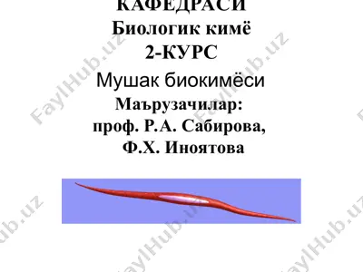 biologik kimyo — PPT