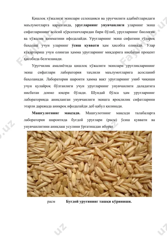 зғич, буғдой уруғликлари ўртача намуналари, олдиндан зарарсизлантирилган совутувчи ва иситувчи термостат, петри косача, механик сув сепгич, ростилни (расм), фильтр қоғозлари, пинсет, куракча ва зичлагич. 1-иш. ўқитувчининг қисқа лаборатория ишларини бажариш тартиби ҳақидаги йўлланмасидан сўнг талабалар жойларда этиштирилган ва ҳар хил навларга таъллуқли буғдой уруғликлари ўртача намуналаридан қанчалик борлигига қараб 3, 6 кишилик кичик гуруҳларга бўлинишадилар. навбатда қишлоқ хўжалиги экинлари уруғликлари сифат кўрсаткичларини лабораторияда таҳлил қилиш учун аккредитацияланган марказий синов лабораториясидан бирининг иш тартибига ўхшаш ҳолатда (8-лаборатория машғулоти ва расмга қаранг) ўз дафтарларига уруғлик маълумотлари кўчирилади. ундан ташқари дафтарга ўз таҳлил натижаларини ёзиб бориши учун жадвал 16 ҳам кўчириб чизилади. расм. экинлар уруғликларини унувчанлигини таҳлил қилиш учун фойдаланиладиган термостат ва уруғ идишлари. уруғларнинг унувчанлиги термостат ёрдамида аниқланади. унувчанликни аниқлаш учун таҳлил бошлаш олдидан фойдаланиладиган барча асбоб -ускуналар зарарсизлантиришлари шарт. бунинг учун термостат, 2 қисм сувга 1 қисм 40% ли формалин аралашмаси тайёрланиб ёки техник этил спирти (96% ли) билан термостат ички …