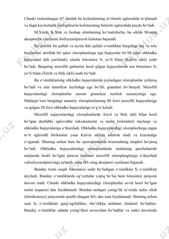 an s14 dastlab bu kislotalarning tо‘rtinchi uglerodida tо‘planadi va faqat keyinchalik fosfoglitserin kislotasining birinchi uglerodida paydo bо‘ladi. m.xetch, k.slek va boshqa olimlarning kо‘rsatishicha, bu siklda s02ning akseptorlik vazifasini fosfoyenolpiruvat kislotasi bajaradi: kо‘pchilik bir pallali va ayrim ikki pallali о‘simliklar bargidagi nay va tola boylamlari atrofida bir qator xloroplastlarga ega hujayralar bо‘lib (ular obkladka hujayralari deb yuritiladi), ularda fotosintez s3 yо‘li bilan (kalvin sikli) sodir bо‘ladi. bargning mezofill qatlamini hosil qilgan hujayralarida esa fotosintez s4 yо‘li bilan (xetch va slek sikli) sodir bо‘ladi. bu о‘simliklarning obkladka hujayralarida joylashgan xloroplastlar yirikroq bо‘ladi va ular lamellyar tuzilishga ega bо‘lib, granalari bо‘lmaydi. mezofill hujayralardagi xloroplastlar asosan granulyar tuzilish xususiyatiga ega. makkajо‘xori bargidagi umumiy xloroplastlarning 80 foizi mezofill hujayralariga va qolgan 20 foizi obkladka hujayralariga tо‘g‘ri keladi. mezofill xujayralaridagi xloroplastlarda xetch va slek sikli bilan hosil bо‘lgan dastlabki uglevodlar (oksaloatsetat va malat kislotalari) naylarga va obkladka hujayralariga о‘tkaziladi. obkladka hujayralaridagi xloroplastlarga utgan tо‘rt uglerodli birikmalar …
