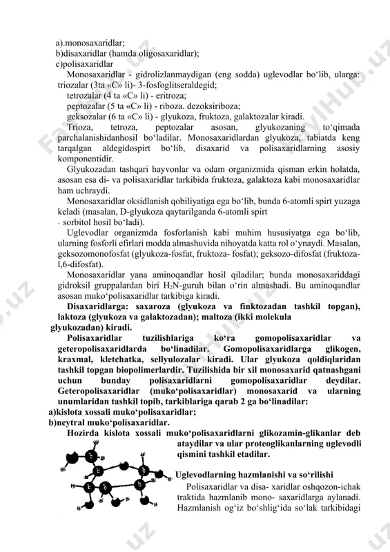 osan, glyukoza va uning unumlaridan tashkil topgandir. bu organik moddalarning 1844-yili «uglevodlar» deb atalishini derpt (hozirgi tartu) universitetining professori k. shmidt taklif etgan. bu nomga ko‘ra uglevodlar «c» (uglevod) va h2o (suv) dan tashkil topadi va umumiy formulasi cn(h,0)m dir. m: glyukozaning emperik formulasi c6h12o6bo‘lib,u yuqoridagi formulaga qo‘yilganda c6(h2o)6 holatga ega bo‘ladi. ammo, uglevod bo‘lmagan ba’zi organik moddalar, jumladan, laktat (sut kislotasi) - c3h6o3 va sirka kislotasi ch3cooh ya’ni c2(h2o)2 - sirka kislotasi (56-rasm). shuning uchun 1927-yili ximik nomenklaturalaming reforma qilish komissiyasi bu gruppa organik moddalarni «glitsidlar» deb nomlashni taklif qilgan. ammo hozirgacha «uglevodlar» termini fanda saqlanib kelgan. uglevodlar tuzilishigako‘ra 3 guruhga boiinadi: a).monosaxaridlar; b)disaxaridlar (hamda oligosaxaridlar); c)polisaxaridlar monosaxaridlar - gidrolizlanmaydigan (eng sodda) uglevodlar bo‘lib, ularga: triozalar (3ta «c» li)- 3-fosfoglitseraldegid; tetrozalar (4 ta «c» li) - eritroza; peptozalar (5 ta «c» li) - riboza. dezoksiriboza; geksozalar (6 ta «c» li) - glyukoza, fruktoza, galaktozalar kiradi. trioza, tetroza, peptozalar asosan, …