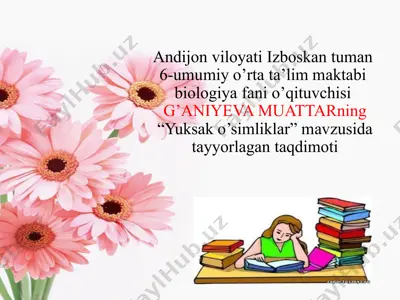 "yuksak o’simliklar" taqdimoti — PPTX