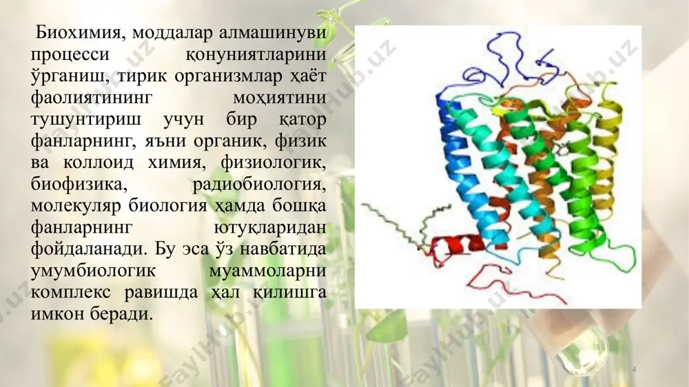 амда олтингугурт (0,-2,4%)дан иборат. улар таркибида баъзан фосфор ҳам учрайди. * аминокислоталар тузилишига кўра алифатик (очиқ занжирли), ароматик (ҳалқали) ва гетероциклик аминокислоталарга бўлинади. шунингдек, улар физик ва химиявий хусусиятларига кўра нейтрал, кислотали, ва ишқорий гуруҳларга бўлинади. бундан ташқари, аминокислоталар таркибида қўшимча функционал гуруҳлар тутишига қараб дикарбон, диамин аминокислоталар, оксиаминокислоталар, олтингугурт тутувчи аминокислоталар ва бошқа гуруҳларга ажратилади. * кислотали шароитда, яъни водород ионлари концентрацияси юқори бўлганда, аминокислоталарнинг карбоксил гуруҳи кам диссоцияланади. натижада уларнинг молекуласи мусбат зарядга эга бўлади ва электр майдонида катион сифатида катодга томон ҳаракат қилади. * ишқорий шароитда, бошқача айтганда, гидроксил ионлари концентрацияси юқори бўлганда, аминокислоталарнинг амин гуруҳи кам диссоциланади. натижада уларнинг молекуласи манфий зарядга эга бўлади ва анион сифатида анодга томон ҳаракат қилади. * аминокислоталар бир вақтнинг ўзида ҳам кислота, ҳам асос хоссаларига эга бўлганлиги учун амфотер бирикма ҳисобланади ва шу сабабли ҳужайрада буферлик вазифасини бажаради. аминокислоталар молекуласи эритманинг рн га қараб катион, анион ёки нейтрал шаклга эга …