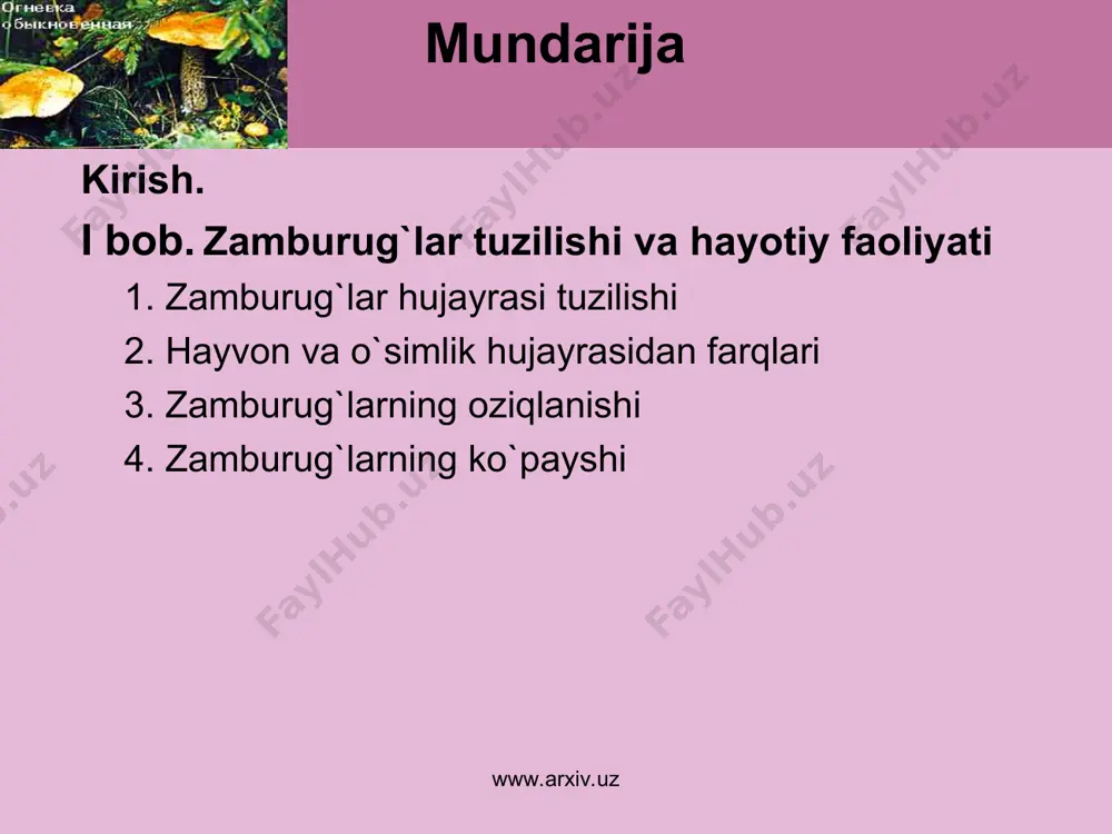 idan, sovuqda muzlab, issiqda qurib qolishdan saqlaydi. mitseliy hujayralari po‘st, protoplazma va yadrodan iborat bo‘ladi. tuban zamburug‘larning hujayra po‘sti kletchatkadan yuqori zamburug‘larniki esa tarkibi jihatidan uglevodga yaqin bo‘lib, unga hasharot xitiniga o‘xshash azotli moddalar ham qo‘shilgan. protoplazmasi boshqa o‘simliklarnikiga o‘xshaydi, ammo ichida hech qanday plastidlar bo‘lmaydi. zamburug‘larnipg yadrosi juda mayda bo‘ladi. u tuban zamburug‘larda juda ko‘p, yuqori zamburug‘lar hujayrasida esa bitta yokn ikkita bo‘ladi, ba’zan bularda ham ko‘p bo‘lishi mumkin. zamburug‘larda zapas oziq modda sifatida kimyoviy tarkibi jihatidan kraxmalga yaqin glikogen to‘planadi, ularda yog‘ tomchilari ham bo‘ladi. bulardan tashqari, yana mayda tanachalar shaklida protoplazmada sochilgan holda volyutin oqsili xam uchraydi. www.arxiv.uz www.arxiv.uz tuban zamburug`lar mitseliysi bog`imlarga bo`linmagan ko`p yadroli va bitta hujayradan iborat bo`ladi. yuksak zamburug`lar mitseliysi bo`g`imlarga bo`lingan, ko`p hujayrali hisoblanadi. gifalarda barcha erikariot hujayradagi kabi mitxondriya, golji apparati, yadro, lizosoma, endoplazmatik to`r bo`ladi. zamburug`arning yashashi uchun zarur omillar: oziq, harorat, namlik. www.arxiv.uz www.arxiv.uz yuqori zamburug‘larda mitseliy to‘siqli, ya’ni …