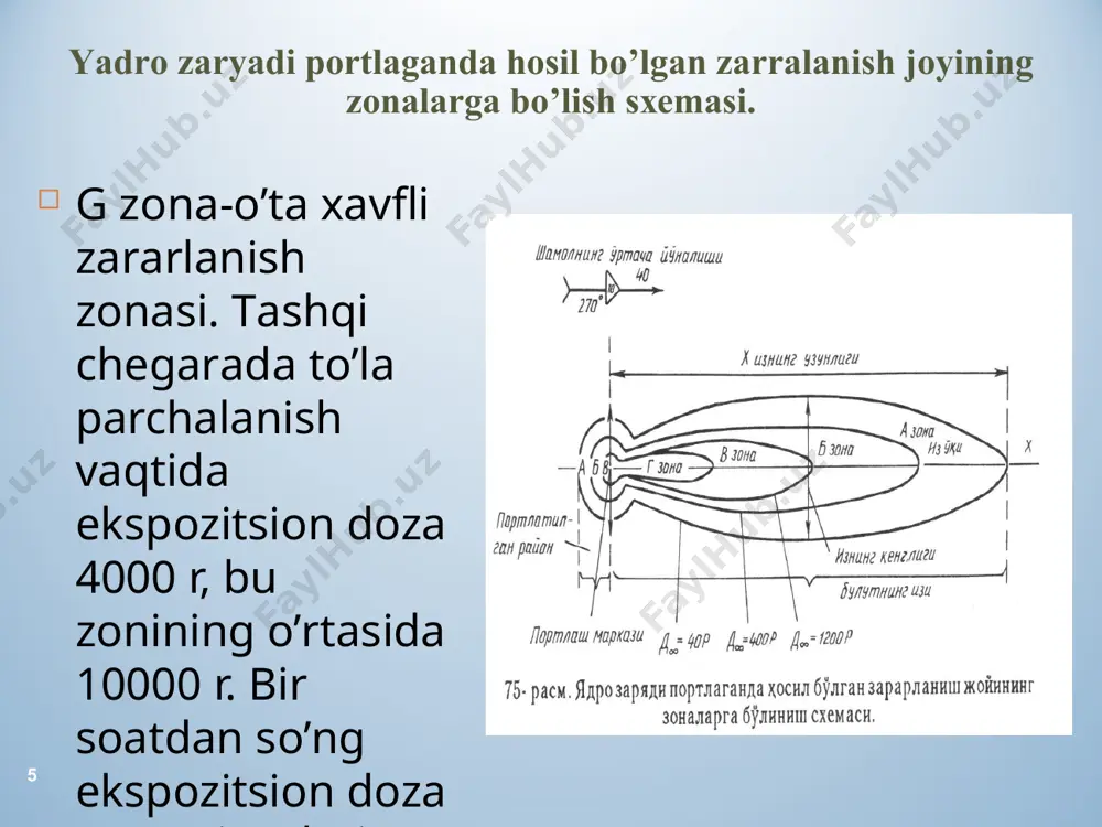 rаdiоаktiv zаrаrlаnish - Page 5