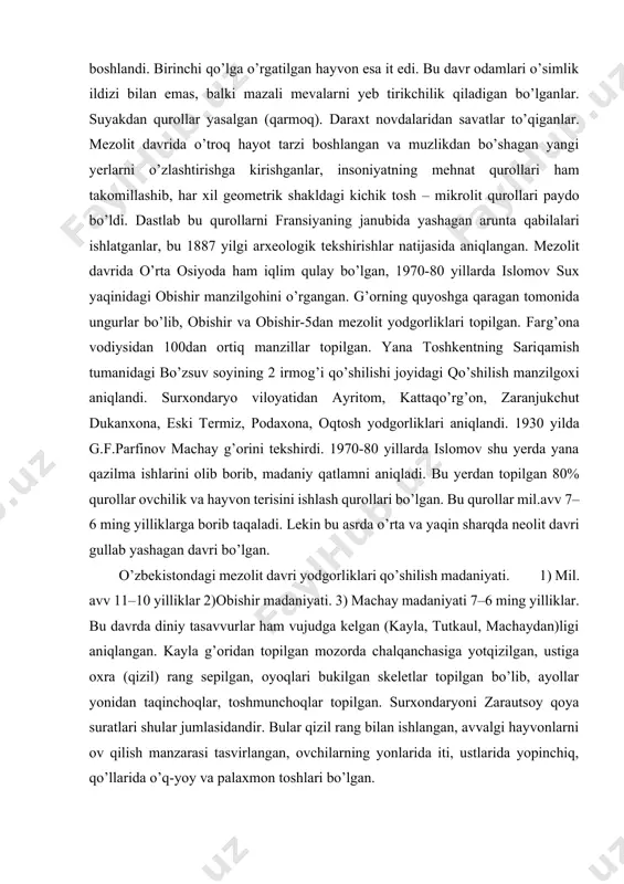 rqda neolit davri gullab yashagan davri bo’lgan. o’zbekistondagi mezolit davri yodgorliklari qo’shilish madaniyati. 1) mil. avv 11–10 yilliklar 2)obishir madaniyati. 3) machay madaniyati 7–6 ming yilliklar. bu davrda diniy tasavvurlar ham vujudga kelgan (kayla, tutkaul, machaydan)ligi aniqlangan. kayla g’oridan topilgan mozorda chalqanchasiga yotqizilgan, ustiga oxra (qizil) rang sepilgan, oyoqlari bukilgan skeletlar topilgan bo’lib, ayollar yonidan taqinchoqlar, toshmunchoqlar topilgan. surxondaryoni zarautsoy qoya suratlari shular jumlasidandir. bular qizil rang bilan ishlangan, avvalgi hayvonlarni ov qilish manzarasi tasvirlangan, ovchilarning yonlarida iti, ustlarida yopinchiq, qo’llarida o’q-yoy va palaxmon toshlari bo’lgan. bu davrda yerto’lalar, loydan uylar qurishgan, doimiy o’troq hayot tarzi barpo bo’lgan. surhondaryo viloyatining boysun tog’ida machay g’or manzili –yuqori va o’rta machay qishloqlari o’rtasida joylashgan, uning kengligi – 20 m, chuqurligi – 2 m, balandligi – 3,5–5 m. madaniy qatlamdan tosh va suyak qurollari topilgan. ayirtom – termiz shaharidan 18 km sharqda, amudaryoning o’ng sohilida joylashgan. farg’ona vodiysining janubidagi katron tog’ining janubida obishir …
