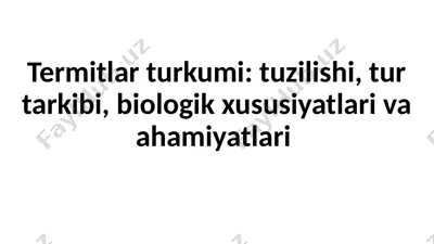 termitlar — PPTX