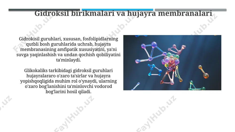 gidroksil birikmalar tirik organizmdagi o'rni - Page 5