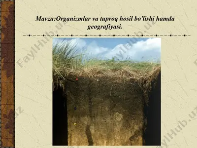 tuproq qoplamini xarakterlash (tavsiflash) — PPT