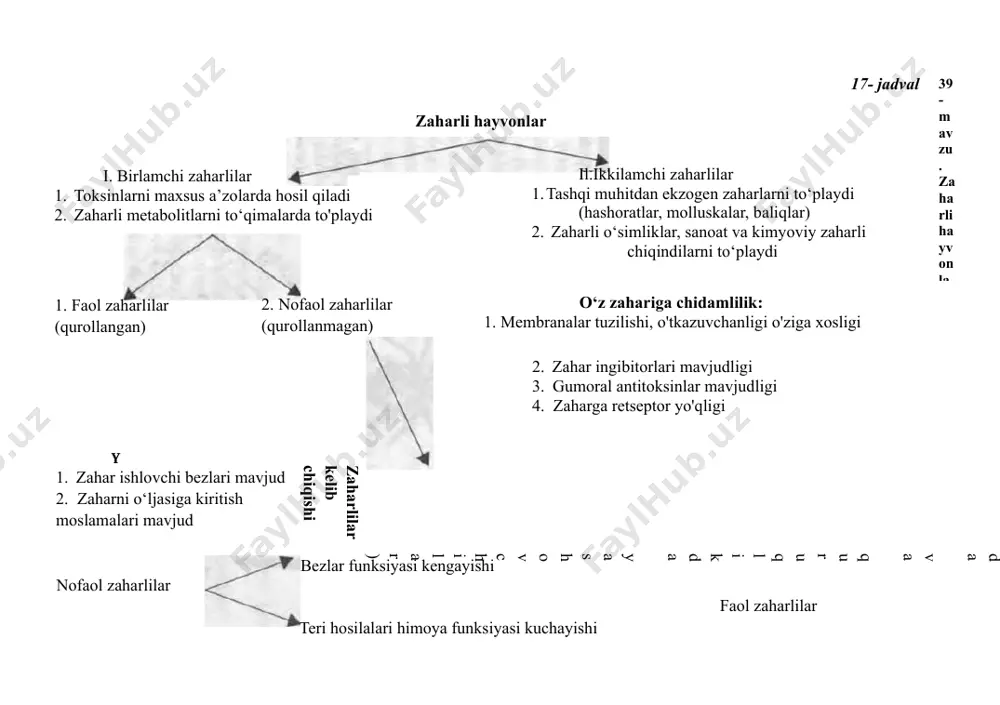 xsus a’zolarda hosil qiladi 1. zaharli metabolitlarni to‘qimalarda to'playdi zaharli hayvonlar il.ikkilamchi zaharlilar 1. tashqi muhitdan ekzogen zaharlarni to‘playdi (hashoratlar, molluskalar, baliqlar) 1. zaharli o‘simliklar, sanoat va kimyoviy zaharli chiqindilarni to‘playdi 39- mavzu. zaharli hayvonlar 1. faol zaharlilar (qurollangan) 2. nofaol zaharlilar (qurollanmagan) o‘z zahariga chidamlilik: 1. membranalar tuzilishi, o'tkazuvchanligi o'ziga xosligi y 1. zahar ishlovchi bezlari mavjud 1. zaharni o‘ljasiga kiritish moslamalari mavjud 1. zahar ingibitorlari mavjudligi 1. gumoral antitoksinlar mavjudligi 1. zaharga retseptor yo'qligi 1. zaharli a’zolar mavjud 1. zahar kirituvchi moslamalari yo‘q (hashoratlar, molluskalar, baliqlar suvda va quruqlikda yashovchilar) zaharlilar kelib chiqishi nofaol zaharlilar bezlar funksiyasi kengayishi faol zaharlilar teri hosilalari himoya funksiyasi kuchayishi a d 97- rasm. a—ilonlarning zahar tishlari. i—liaychali; 2—egatchali. в—ko'lvor ilon og'zi ochilgan holatda. 1—nafas nayi; 2—zahar tishlari; 3—tili. 98- rasm. chayon va qoraqurt. a—chayon; в—qoraqurt; d—qoraqurt pillalar ustida. 39- mavzu. zaharli hayvonlar 333 2.nofaol zaharlilarda zaharli organlar mavjud, lekin zahar kirituvchi moslamalari …
