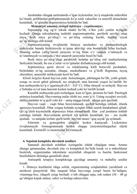 ida tana harorati pastga tushib ketadi puls esa o’zgarmaydi yoki tezlashadi. grafikdagi bu ko’rsatkichlarning bir – biri bilan o’zaro kesishishi “o’lim xochi” deb ataladi. ya’ni bir necha soatdan so’ng hayvon o’ladi. jarohatdan olingan surtmalarda o’lgan leykotsitlar, ko’p miqdorda mikroblar ko’rinadi, poliblastlar protoplazmasida ko’p sonli vakuollar va azurofil donachalar kuzatiladi, to’qimalar degeneratsiya holatida bo’ladi. metastazsiz umumiy yiringli infeksiya – (septitsemiya). sepsisning eng og’ir toksik shakli bo’lib, o’tkir yoki yashin tezligida kechadi. qonga toksinlarning tushishi angioretseptorlar, periferik nervlar, orqa miya, bosh miya po’stlog’i va po’stloq ostining kuchli, haddan ziyod qo’zg’alishiga olib keladi. septitsemiyaning rivojlanishi himoya moslashuv va immunobiologik reaksiyalar hamda biriktiruvchi to’qima aktivligi erta bostirilishi bilan kechadi. shuning uchun yallig’lanish jarayoni to’siq bilan o’z vaqtida o’ralmaydi va to’xtatilmaydi va natijada o’tkir anaerob jarayonlar hosil bo’ladi. bosh miya po’stlog’idagi parabiotik holatlar po’stloq osti markazlarning faoliyatini buzadi, bu esa a’zolar va to’qimalar disfunksiyasiga olib keladi. septitsemiya qorin devori va ichaklarning kirib boruvchi jarohatlari, bichishdan …