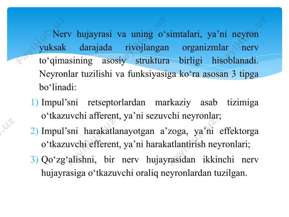 nadi. oradan 1-2 minut о‘tgach, baqaning о‘sha oyog‘iga 0,5% li ns1 kislota bilan yana ta’sir etiladi. lekin bu safar u oyog‘ini tortib olmaydi, chunki endi retseptor, ya’ni refleks yoyining bir elementi olib tashlandi. terisi kesilmagan oyog‘iga kislotaning kuchliroq eritmasi bilan ta’sir etilsa, baqaning faqat shu oyog‘igina emas, balki ikkinchi oyog‘i va butun tanasi harakatga keladi. 2. baqaning orqa miya organlarida refleks borligini kо‘rgandan keyin, uning bir oyog‘i sonining orqa tomonidagi terisini kesib, muskullar orasidan quymich nervi topiladi. uning tagidan ip о‘tkazib olinadi. sо‘ngra shu oyog‘i kislotaning kuchli eritmasiga botirilsa ham u qisqarmaydi, ya’ni efferent nerv tolasi buzilganligi sababli refleks hosil bо‘lmaydi. buni shu nervga novokain ta’sir ettirib ham kuzatish mumkin, bunda о‘tirg‘ich nervi novokain ta’sirida 1-2 minutda sezuvchanligini yо‘qotadi. 3. orqa miya kanaliga maxsus sim-finder kiritib asab tizimi buziladi. shundan keyin baqaning oyog‘i kislotaga tegizilsa ham refleks hosil bо‘lmaydi. odamdagi proprioretseptiv reflekslar. ishdan maqsad odamdagi ba’zi proprioretseptiv reflekslarni kuzatishdan iborat. …